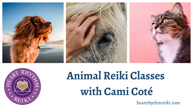 Animal Reiki I & II - HEART RHYTHM REIKI, LLC